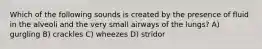 Which of the following sounds is created by the presence of fluid in the alveoli and the very small airways of the​ lungs? A) gurgling B) crackles C) wheezes D) stridor