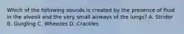 Which of the following sounds is created by the presence of fluid in the alveoli and the very small airways of the​ lungs? A. Stridor B. Gurgling C. Wheezes D. Crackles