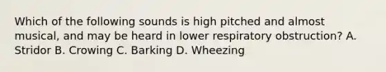 Which of the following sounds is high pitched and almost​ musical, and may be heard in lower respiratory​ obstruction? A. Stridor B. Crowing C. Barking D. Wheezing