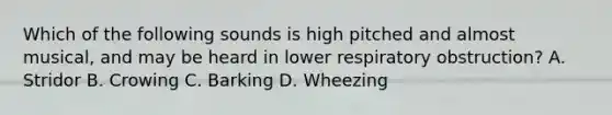 Which of the following sounds is high pitched and almost musical, and may be heard in lower respiratory obstruction? A. Stridor B. Crowing C. Barking D. Wheezing