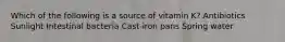 Which of the following is a source of vitamin K? Antibiotics Sunlight Intestinal bacteria Cast-iron pans Spring water