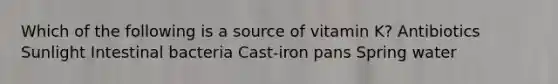 Which of the following is a source of vitamin K? Antibiotics Sunlight Intestinal bacteria Cast-iron pans Spring water