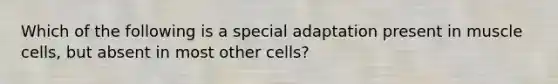 Which of the following is a special adaptation present in muscle cells, but absent in most other cells?