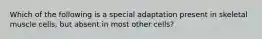 Which of the following is a special adaptation present in skeletal muscle cells, but absent in most other cells?