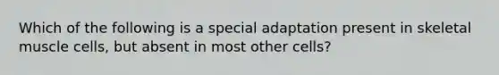 Which of the following is a special adaptation present in skeletal muscle cells, but absent in most other cells?