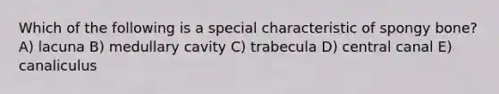 Which of the following is a special characteristic of spongy bone? A) lacuna B) medullary cavity C) trabecula D) central canal E) canaliculus