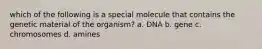 which of the following is a special molecule that contains the genetic material of the organism? a. DNA b. gene c. chromosomes d. amines