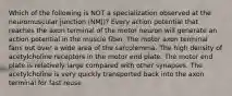 Which of the following is NOT a specialization observed at the neuromuscular junction (NMJ)? Every action potential that reaches the axon terminal of the motor neuron will generate an action potential in the muscle fiber. The motor axon terminal fans out over a wide area of the sarcolemma. The high density of acetylcholine receptors in the motor end plate. The motor end plate is relatively large compared with other synapses. The acetylcholine is very quickly transported back into the axon terminal for fast reuse