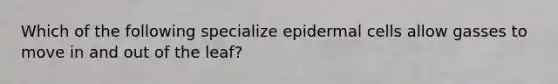 Which of the following specialize epidermal cells allow gasses to move in and out of the leaf?