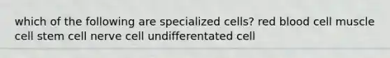 which of the following are specialized cells? red blood cell muscle cell stem cell nerve cell undifferentated cell