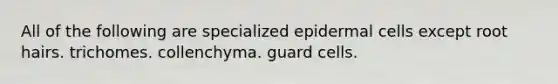 All of the following are specialized epidermal cells except root hairs. trichomes. collenchyma. guard cells.