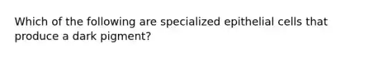 Which of the following are specialized epithelial cells that produce a dark pigment?