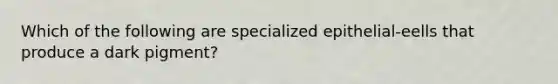 Which of the following are specialized epithelial-eells that produce a dark pigment?