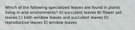 Which of the following specialized leaves are found in plants living in arid environments? A) succulent leaves B) flower pot leaves C) both window leaves and succulent leaves D) reproductive leaves E) window leaves