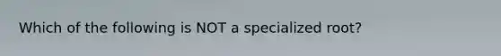 Which of the following is NOT a specialized root?