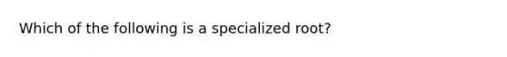 Which of the following is a specialized root?