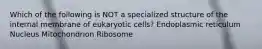 Which of the following is NOT a specialized structure of the internal membrane of eukaryotic cells? Endoplasmic reticulum Nucleus Mitochondrion Ribosome