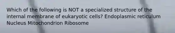 Which of the following is NOT a specialized structure of the internal membrane of eukaryotic cells? Endoplasmic reticulum Nucleus Mitochondrion Ribosome