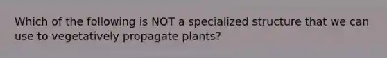 Which of the following is NOT a specialized structure that we can use to vegetatively propagate plants?