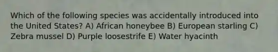 Which of the following species was accidentally introduced into the United States? A) African honeybee B) European starling C) Zebra mussel D) Purple loosestrife E) Water hyacinth