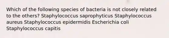 Which of the following species of bacteria is not closely related to the others? Staphylococcus saprophyticus Staphylococcus aureus Staphylococcus epidermidis Escherichia coli Staphylococcus capitis