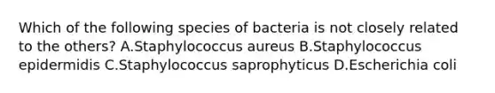 Which of the following species of bacteria is not closely related to the others? A.Staphylococcus aureus B.Staphylococcus epidermidis C.Staphylococcus saprophyticus D.Escherichia coli