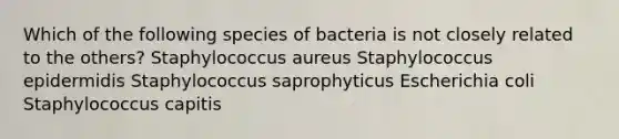 Which of the following species of bacteria is not closely related to the others? Staphylococcus aureus Staphylococcus epidermidis Staphylococcus saprophyticus Escherichia coli Staphylococcus capitis