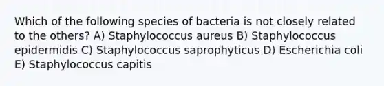 Which of the following species of bacteria is not closely related to the others? A) Staphylococcus aureus B) Staphylococcus epidermidis C) Staphylococcus saprophyticus D) Escherichia coli E) Staphylococcus capitis