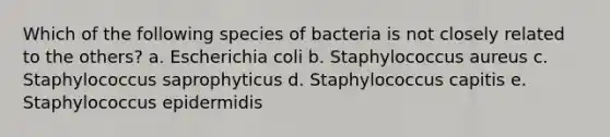 Which of the following species of bacteria is not closely related to the others? a. Escherichia coli b. Staphylococcus aureus c. Staphylococcus saprophyticus d. Staphylococcus capitis e. Staphylococcus epidermidis