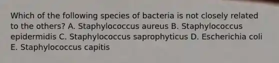 Which of the following species of bacteria is not closely related to the others? A. Staphylococcus aureus B. Staphylococcus epidermidis C. Staphylococcus saprophyticus D. Escherichia coli E. Staphylococcus capitis