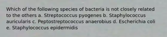 Which of the following species of bacteria is not closely related to the others a. Streptococcus pyogenes b. Staphylococcus auricularis c. Peptostreptococcus anaerobius d. Escherichia coli e. Staphylococcus epidermidis