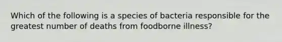 Which of the following is a species of bacteria responsible for the greatest number of deaths from foodborne illness?