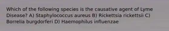 Which of the following species is the causative agent of Lyme Disease? A) Staphylococcus aureus B) Rickettsia rickettsii C) Borrelia burgdorferi D) Haemophilus influenzae