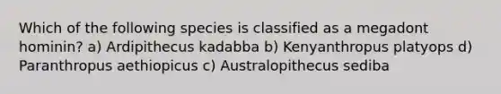 Which of the following species is classified as a megadont hominin? a) Ardipithecus kadabba b) Kenyanthropus platyops d) Paranthropus aethiopicus c) Australopithecus sediba