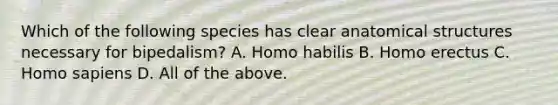 Which of the following species has clear anatomical structures necessary for bipedalism? A. Homo habilis B. Homo erectus C. Homo sapiens D. All of the above.