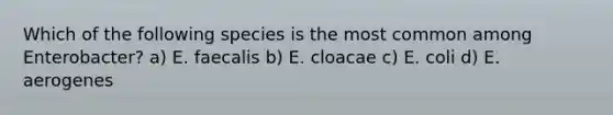 Which of the following species is the most common among Enterobacter? a) E. faecalis b) E. cloacae c) E. coli d) E. aerogenes