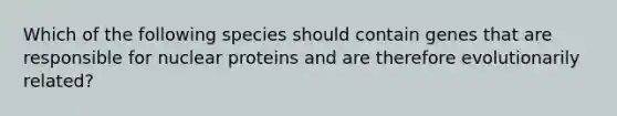 Which of the following species should contain genes that are responsible for nuclear proteins and are therefore evolutionarily related?