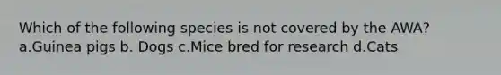 Which of the following species is not covered by the AWA? a.Guinea pigs b. Dogs c.Mice bred for research d.Cats
