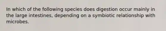 In which of the following species does digestion occur mainly in the <a href='https://www.questionai.com/knowledge/kGQjby07OK-large-intestine' class='anchor-knowledge'>large intestine</a>s, depending on a symbiotic relationship with microbes.