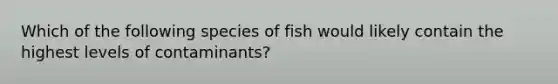 Which of the following species of fish would likely contain the highest levels of contaminants?