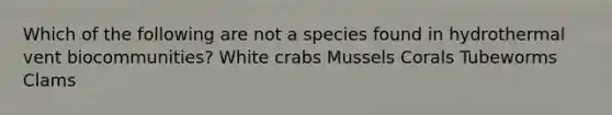 Which of the following are not a species found in hydrothermal vent biocommunities? White crabs Mussels Corals Tubeworms Clams