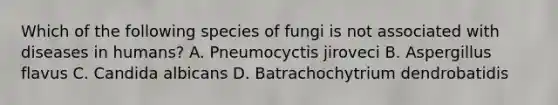 Which of the following species of fungi is not associated with diseases in humans? A. Pneumocyctis jiroveci B. Aspergillus flavus C. Candida albicans D. Batrachochytrium dendrobatidis