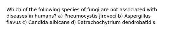 Which of the following species of fungi are not associated with diseases in humans? a) Pneumocystis jiroveci b) Aspergillus flavus c) Candida albicans d) Batrachochytrium dendrobatidis