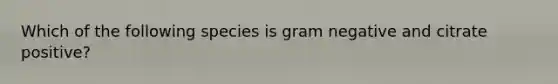 Which of the following species is gram negative and citrate positive?