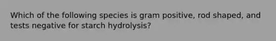 Which of the following species is gram positive, rod shaped, and tests negative for starch hydrolysis?