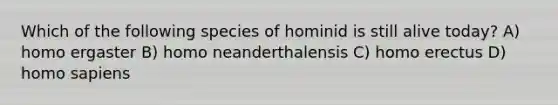 Which of the following species of hominid is still alive today? A) homo ergaster B) homo neanderthalensis C) homo erectus D) homo sapiens