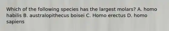 Which of the following species has the largest molars? A. homo habilis B. australopithecus boisei C. Homo erectus D. homo sapiens