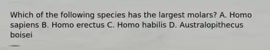 Which of the following species has the largest molars? A. Homo sapiens B. Homo erectus C. Homo habilis D. Australopithecus boisei