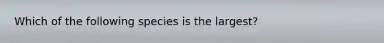 Which of the following species is the largest?