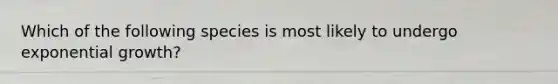 Which of the following species is most likely to undergo exponential growth?